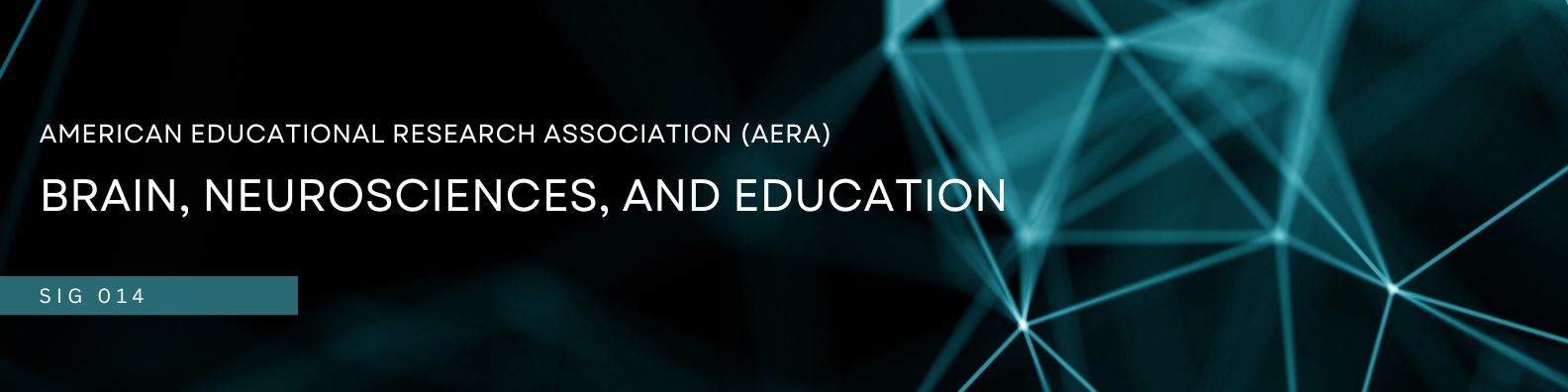 SIG 14 Website Banner